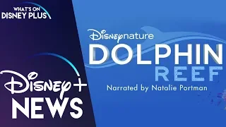 DisneyNature’s Dolphin Reef Coming Soon To Disney+ | Disney Plus News