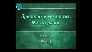 Фитотерапия. Урок 3.1. Фитотерапия и сердечно-сосудистые заболевания. Часть 2