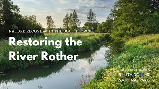 Reviving the Rother: restoring our remarkable rivers