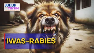 JNT | Senyales na may rabies ang isang aso o pusa