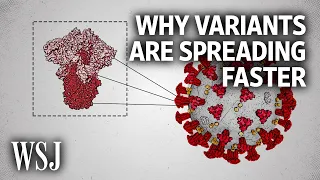 The Science Behind Why New Covid Variants Are Spreading Faster | WSJ