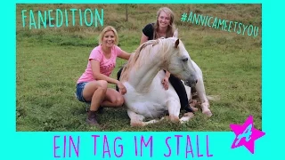 Ein Tag im STALL I Fanedition I #annicameetsyou 2