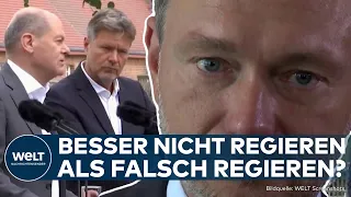 AMPEL IN AUFLÖSUNG? Weltrettungs-Phantasien! FDP "verbiegt sich bis zur Unkenntlichkeit"