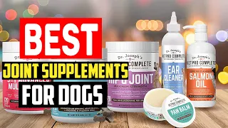 ✅Top 5 Best Joint Supplements for Dogs Review in 2022