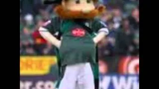 Plymouth Argyle Best Team In The World (SONG)