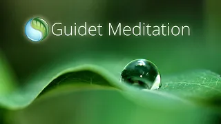 Mindfulness Guided Meditation Dansk