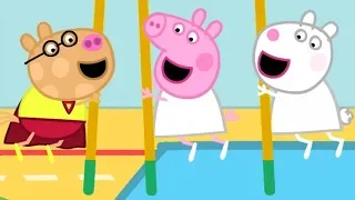 Peppa Pig en Español Episodios completos | CLASE DE GIMNASIA  🎓Regreso al colegio 🚌Pepa la cerdita