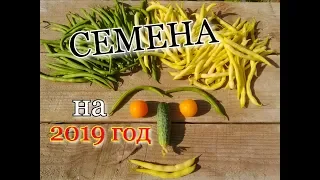 СЕМЕНА 2019 : ГоРоШЕК/ АРБУЗЫ/ КАБАЧКи/ КАПуСТА/ Московская обл./#seed##