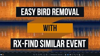 Easy Bird Removal with RX Find Similar Event