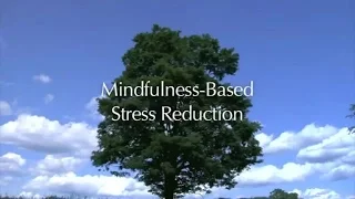 Introduction to the MBSR course (UMass Medical School, Center for Mindfulness)