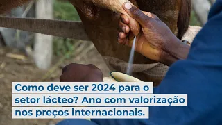 Como deve ser 2024 para o setor lácteo? Ano com valorização nos preços internacionais.