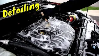 Getting the MAZDA 3 Engine Bay DETAILED by a PROFESSIONAL!