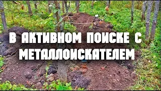 Поиск с металлоискателем minelab. Шурф и коп монет в урочище