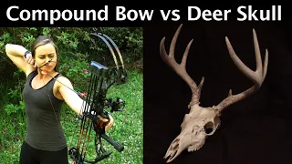 Compound Bow vs. Deer Skull