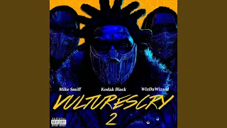 VULTURES CRY 2 (feat. WizDaWizard and Mike Smiff)