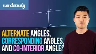 Alternate Angles, Corresponding Angles, Co-interior Angles - Nerdstudy