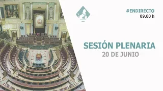 Sesión Plenaria (20/06/2018)