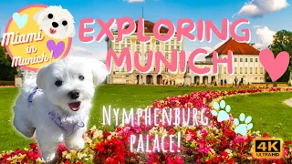 EXPLORING NYMPHENBURG PALACE 👑🏰💕 BAYERN MUNICH! 🐶 🇩🇪  CUTE DOG 🐾 SCHLOSS NYMPHENBURG