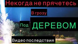 Молния поражает 4 человек, стоящих под деревом в индийском городе Гуруграм. Полное видео с места чп