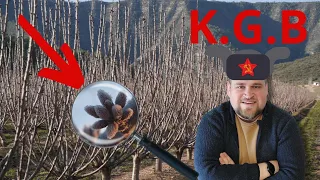Descoperă de ce eu NU recomand Formarea Pomului KGB!