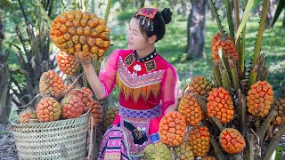 Harvesting SEA PINEAPPLE - Make smoke meat | ELLA TV