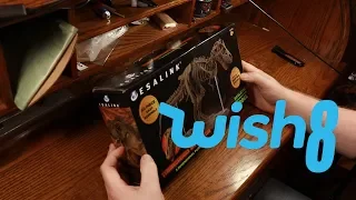 Ryno Revews - Wish.com Unboxing #8 - T-Rex Skeleton Model Kit