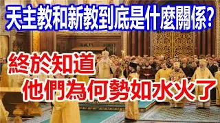 天主教和新教到底是什麼關係？終於知道他們為何勢如水火了