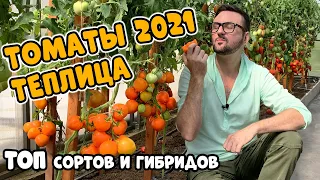 Лучшие томаты для теплицы 2021