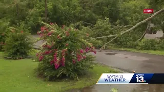 Woman witnesses tree knock down power line