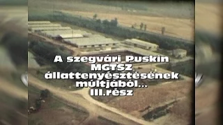 A szegvári Puskin MgTSz állattenyésztésének múltjából….  3. rész Archív film, készült 2009-ben