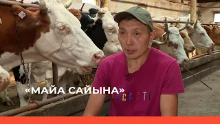 «Майа сайына»    (05.09.23)