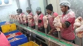 The  Fastest Worker  Butcher In The World. Amazing Technology process You have Seen In Your Life