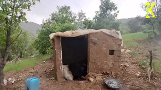 The most motherly rain: the story of Hossein and his mother's hard life"