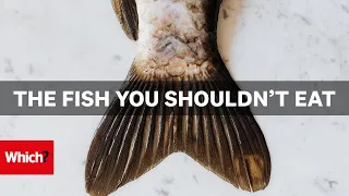 What Fish is Sustainable? | Which? Investigates