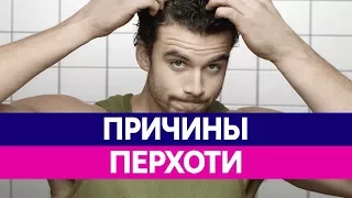 Как ИЗБАВИТЬСЯ ОТ ПЕРХОТИ? Причины перхоти!