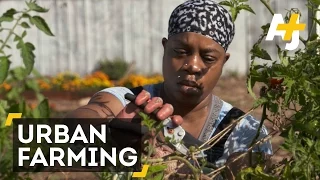 Black Panther-Inspired Urban Farming