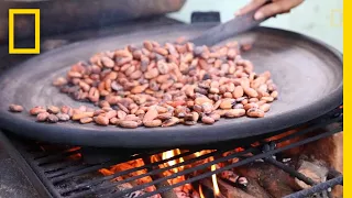 Watch the Ancient Art of Chocolate-Making | National Geographic