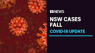 COVID-19 wrap: Drop in new infections in NSW, one new local case in Perth | ABC News