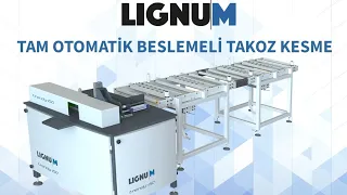 Lignum Trendy 150 | Automatic Wood Block Cutting Machine | Otomatik Takoz Kesme Makinesi