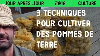 3 techniques pour cultiver des pommes de terre