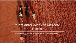 Transformation of agrifood systems - for fair incomes, healthy nutrition, and an intact environment!