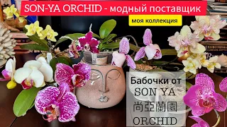 Коллекция Бабочек и пелоров размера 1,7 от SonYa ORCHID. Чего от них ждать.