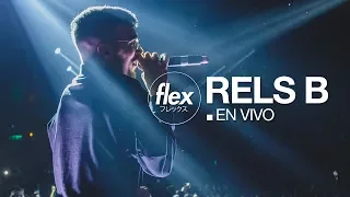 RELS B en vivo FLEX [24NOV2017]