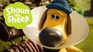 Chiếc nón xấu hổ - Những Chú Cừu Thông Minh [Cone of Shame - Shaun the Sheep]