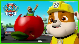 Tlapky zachraňují pana Portera před provozem - Tlapková Patrola PAW Patrol - pohádky pro děti