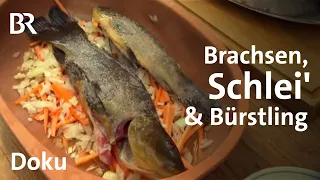 Fluss-Fische köstlich zubereitet - Kochen mit Paul Enghofer | Unter unserem Himmel | Doku | Angeln