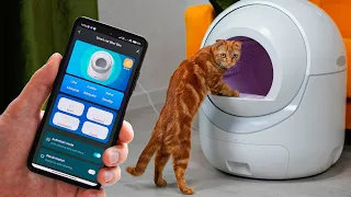 SMART TOILET FOR CATS Wowall 🔥