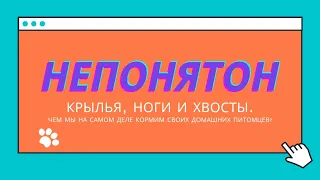 НЕПОНЯТОН. КРЫЛЬЯ, НОГИ И ХВОСТЫ.