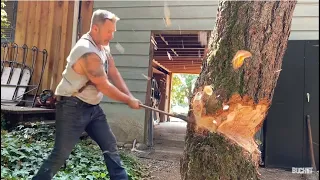 Chopping a tree Down with Axes .