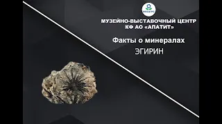 Факты о минералах. Эгирин.